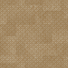 Золотисто-коричневые обои Zambaiti Trussardi VIII Z30348