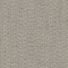 Серо-бежевые обои Alessandro Allori Bruni 1002-29 RBN