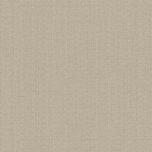 Коричневые обои для стен Alessandro Allori Bruni 1002-25 RBN