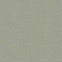 W05 50461