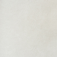 Alessandro Allori Bodega 2404-3 RTE