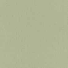 Rasch Novella 960716