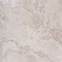 Alessandro Allori Bodega 2403-2 RTE