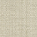 W05 50403