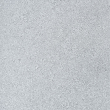 Alessandro Allori Bodega 2404-10 RTE