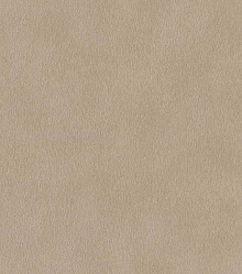 Rasch African Queen 3 751055