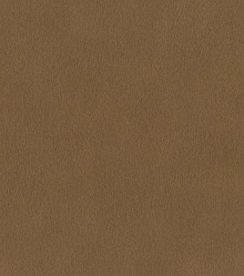 Rasch African Queen 3 751079