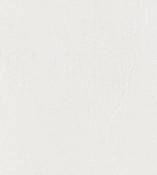 Обои для столовой Bernardo Bartalucci Gaga  84284-7