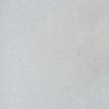 Alessandro Allori Bodega 2404-7 RTE