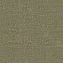 W05 50467