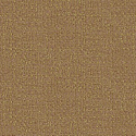 W05 50462