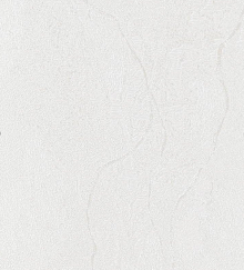 Обои для столовой Bernardo Bartalucci Gaga  84284-10