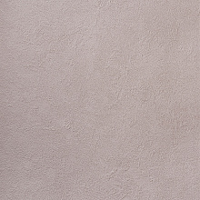 Alessandro Allori Bodega 2404-11 RTE